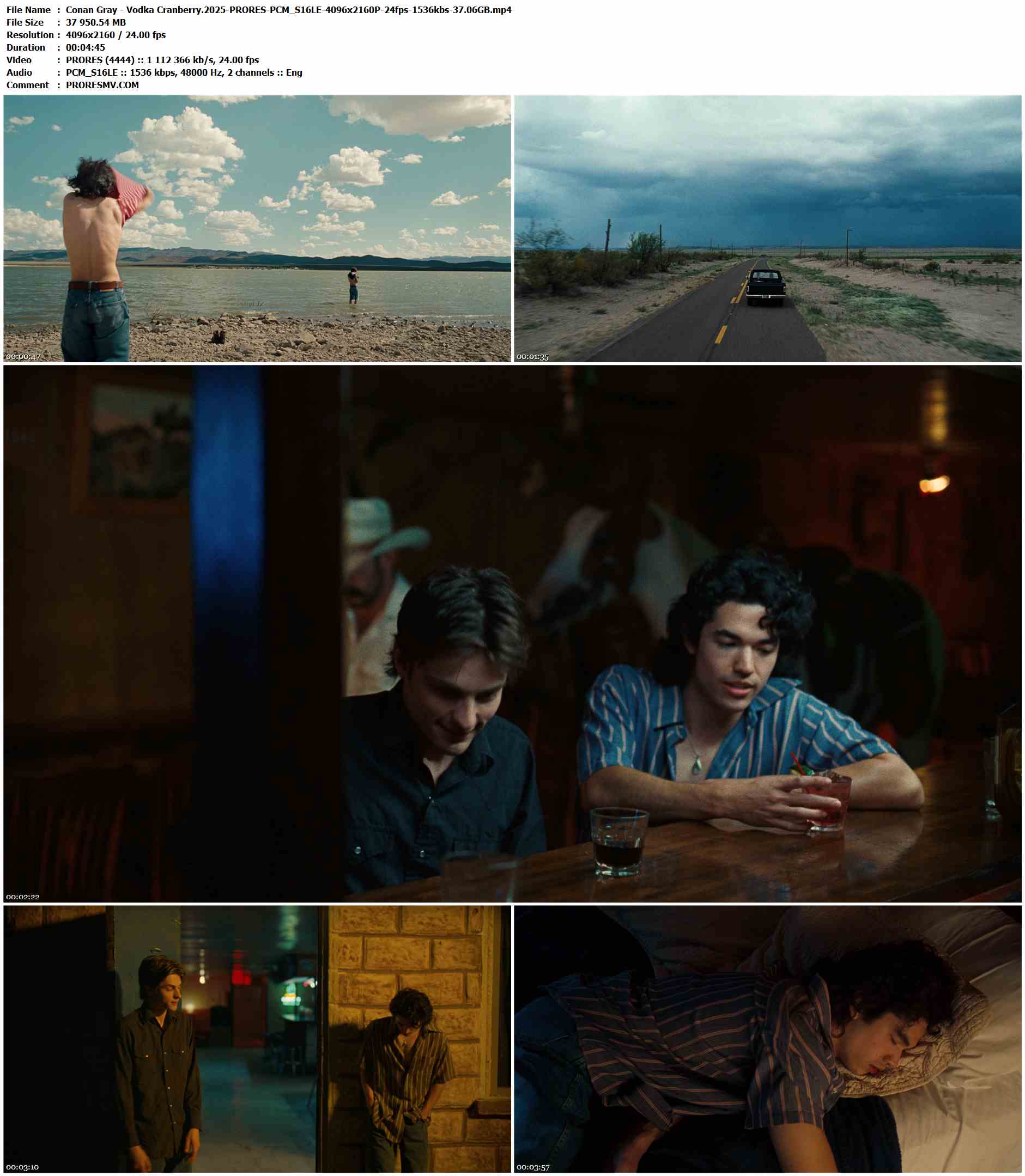 Conan Gray - Vodka Cranberry.2025-PRORES-PCM_S16LE-4096x2160P-24fps-1536kbs-37.06GB官方MV_高清MV
